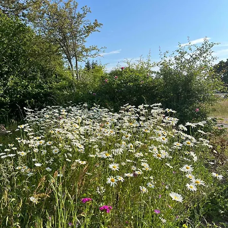 Cozy With A Beautiful View